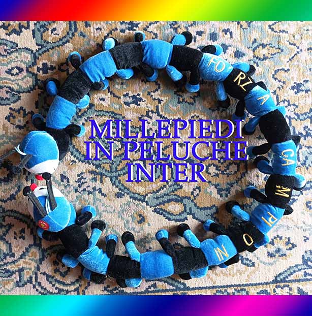 MILLEPIEDI IN PELUCHE INTER Arduino Sacco Editore